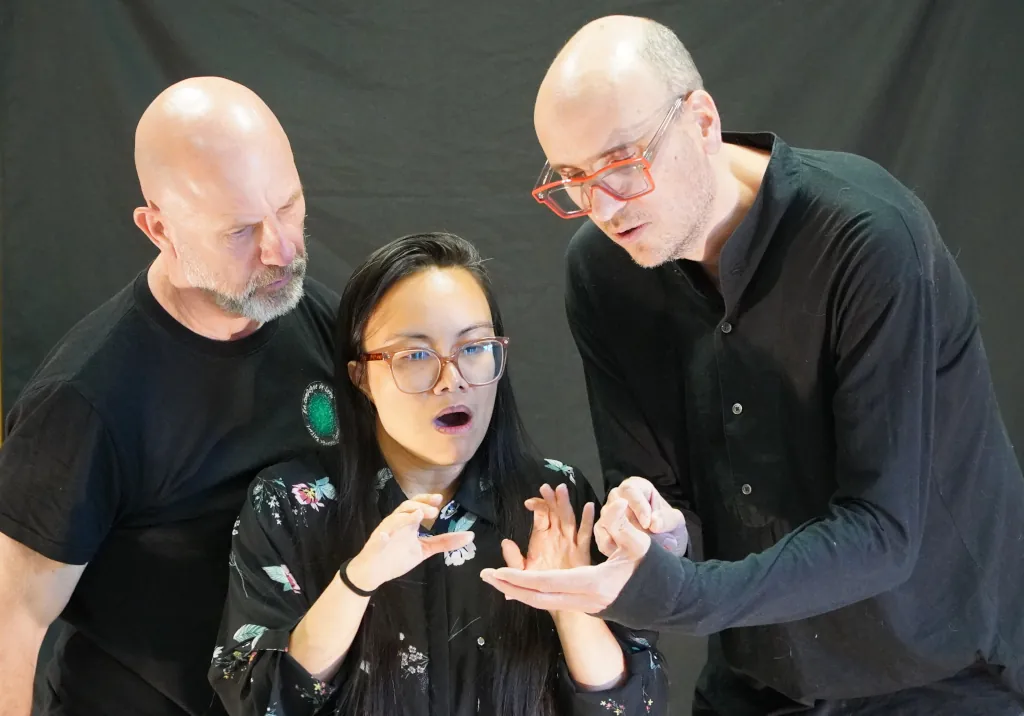 Spectacle écran à cran à Danjoutin théâtre d'improvisation spectacle parents enfants